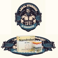 NandroBol